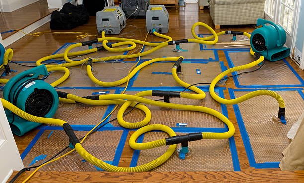 Professional Water Extraction technician working in Willow River, MN